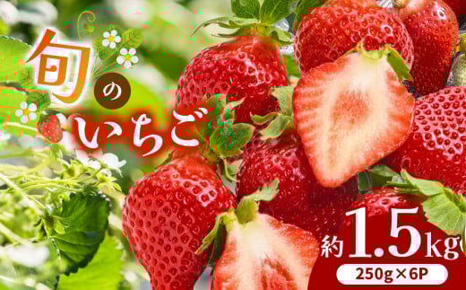 F{Y {   1.5kg i250g ×6Pj | t[c ʕ   C`S { F{ F{ ʖsF{ʖs14000ʕEt[c