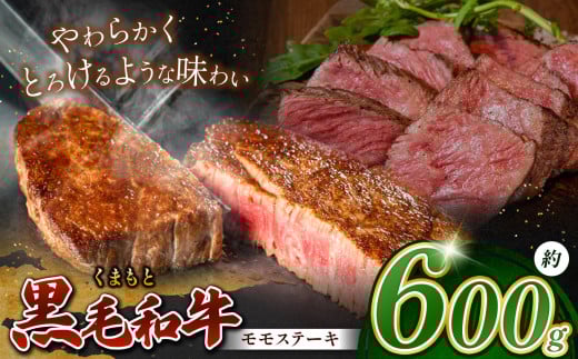 熊本県産 黒毛和牛 モモ ステーキ 約 600g | 肉 にく お肉 おにく 牛 牛肉 和牛 モモステーキ 600グラム 熊本県 玉名市熊本県玉名市24000肉牛肉
