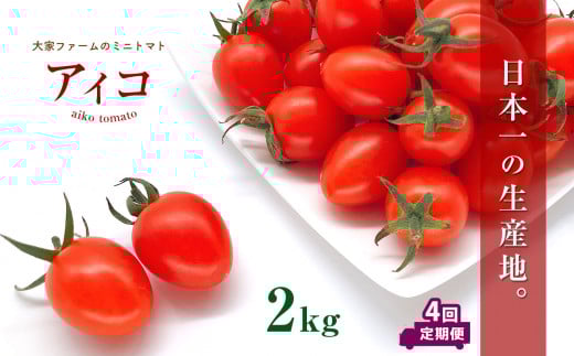 y4zwƃt@[x̃~jg}g ACR 2kg × 4 |  ₳ Ƃ܂ g}g ~jg}g ACR   F{ ʖsF{ʖs33000؁Êg}g