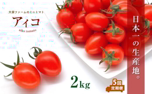 【定期5回】『大家ファーム』のミニトマト アイコ 2kg × 5回 | 野菜 やさい とまと トマト ミニトマト アイコ 定期 定期便 熊本県 玉名市熊本県玉名市42000野菜・きのこトマト