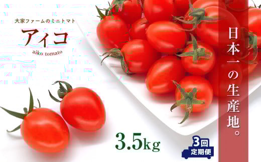 【定期3回】『大家ファーム』のミニトマト アイコ 3.5kg×3回 | 野菜 やさい とまと トマト ミニトマト アイコ 熊本県 玉名市熊本県玉名市40000野菜・きのこトマト