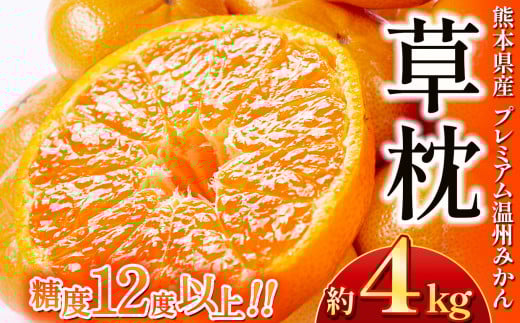 プレミアム温州 みかん 「 草枕 」 約 4kg | 果物 くだもの フルーツ 柑橘 柑橘類 温州みかん ミカン 旬 味覚 熊本県 玉名市熊本県玉名市13000果物・フルーツみかん・柑橘類