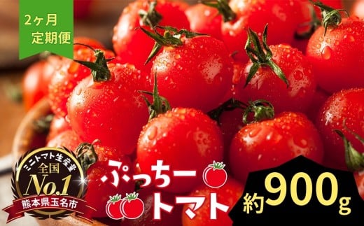 ぷっちートマト ミニトマト 900g×2回 定期便 | 野菜 やさい ミニトマト ミニ とまと トマト 900g 2回 定期便 リコピン 熊本県 玉名市熊本県玉名市12000野菜・きのこトマト