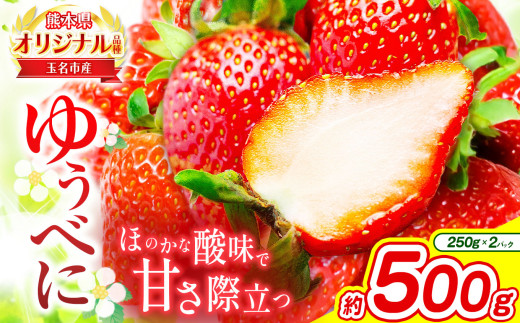 F{ ʖY  䂤ׂ 500g i 250g×2pbN j b ʕ  t[c C`S  F{ ʖsF{ʖs11000ʕEt[c