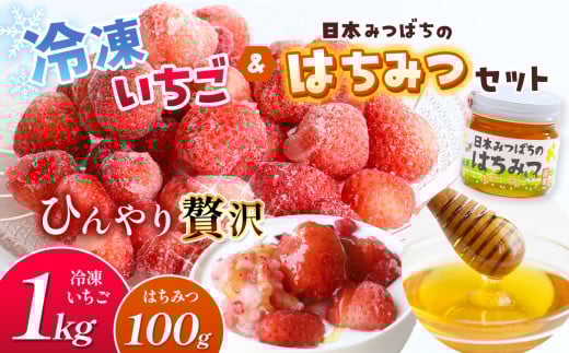 冷凍いちご と 日本みつばち の はちみつ セット | 果物 くだもの フルーツ いちご イチゴ 冷凍 蜂蜜 ハチミツ 国産 希少 セット 熊本県 玉名市熊本県玉名市16000果物・フルーツいちご