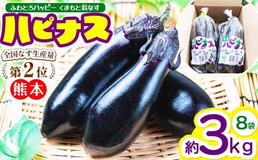 ハピナス 玉名市産 長なす 約3s(300g〜400g×8袋)| 野菜 やさい 茄子 なすび とげ無 種少 薄皮 季節野菜 袋詰め 小分け 熊本県 玉名市熊本県玉名市8000野菜・きのこその他 野菜