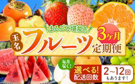 【 定期便 3回 】 まるごと 堪能 ! 人気 フルーツ |( いちご 白いちご みかん 不知火 デコポン スイカ メロン ぶどう シャインマスカット 梨 柿 果物 ) フルーツ定期 フルーツ定期便 果物定