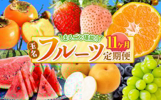 【 定期便 11回 】 まるごと 堪能 ! 人気 フルーツ  | 果物 くだもの フルーツ みかん 赤いちご 白いちご 不知火 スイカ メロン 黒ぶどう シャインマスカット 太秋柿 定期便 11回 熊本県 玉名