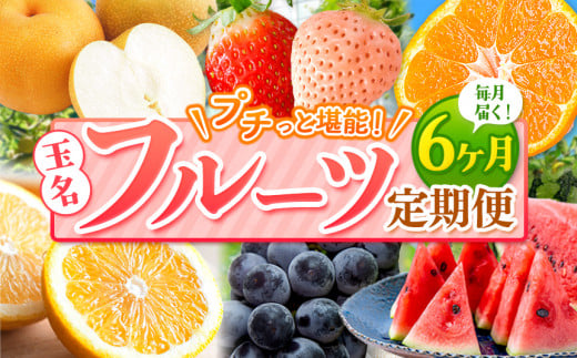 【 定期便 6回 】 プチっと 堪能 ! 人気 フルーツ | 赤いちご 白いちご みかん 不知火 デコポン スイカ ぶどう 梨 太秋柿 果物 くだもの 定期便 6回 熊本県 玉名市熊本県玉名市54000果物・フル