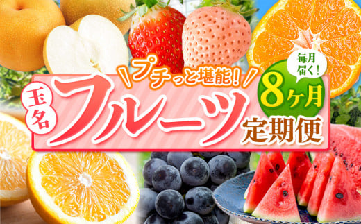 【 定期便 8回 】 プチっと 堪能 ! 人気 フルーツ | 赤いちご 白いちご みかん 不知火 デコポン スイカ ぶどう 梨 太秋柿 果物 くだもの 定期便 8回 熊本県 玉名市熊本県玉名市72000果物・フル