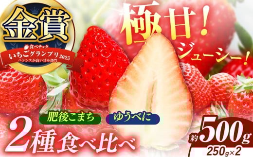 いちご 2種類 食べ比べ 肥後こまち ゆうべに  約500g(各250g) | 肥後こまち ゆうべに フルーツ 果物 くだもの 苺 いちご  熊本県 玉名市熊本県玉名市12000果物・フルーツいちご