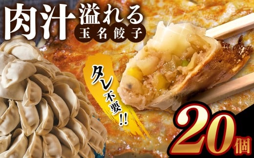 タレ不要!! 肉汁 溢れる『 玉名餃子 』 20個 | 餃子 ぎょうざ お手軽 小分け 冷凍 冷凍食品 おかず 豚肉 熊本県 玉名市熊本県玉名市6000鍋セット・総菜・加工食品総菜