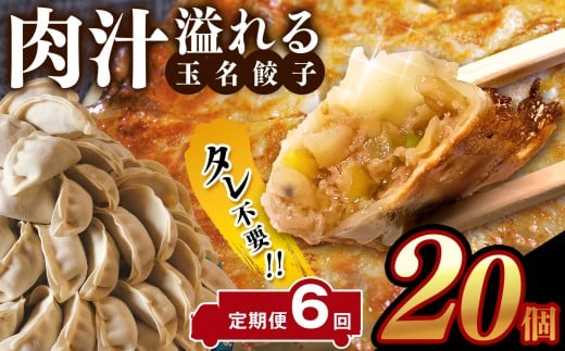 【定期便6回】タレ不要!! 肉汁 溢れる『 玉名餃子 』 20個 | 餃子 ぎょうざ お手軽 小分け 冷凍 冷凍食品 おかず 豚肉 熊本県 玉名市熊本県玉名市33000鍋セット・総菜・加工食品総菜