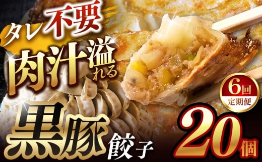 【定期便6回】肉汁 溢れる『 黒豚餃子 』 20個 | 餃子 ぎょうざ お手軽 小分け 冷凍 冷凍食品 おかず 豚肉 熊本県 玉名市熊本県玉名市39000鍋セット・総菜・加工食品総菜