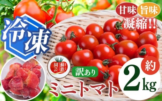 冷凍ミニトマト 2kg | ミニトマト 冷凍トマト 訳あり 2キロ 旬 熊本県 玉名市熊本県玉名市12000野菜・きのこトマト
