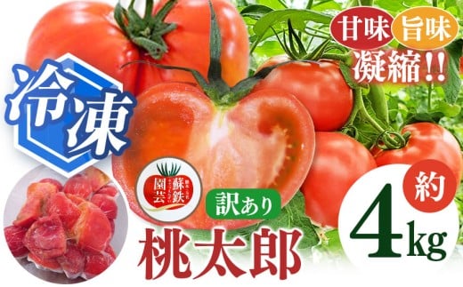 冷凍桃太郎トマト 4kg | トマト 冷凍トマト 訳あり 4キロ 旬 熊本県 玉名市熊本県玉名市16000野菜・きのこトマト