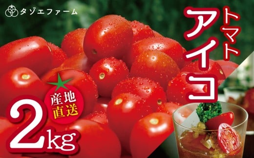 【タゾエファーム】 トマト アイコ 2kg | 野菜 やさい とまと ミニトマト 産地直送 熊本県 玉名市熊本県玉名市14000野菜・きのこトマト