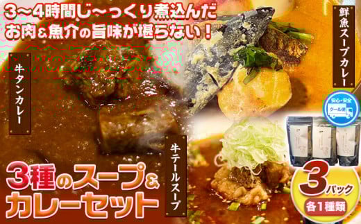 3種のスープ&カレーセット(テールスープ、牛タンカレー、魚介スープカレー) 焼肉一 un 株式会社アンサンブル《30日以内に出荷予定(土日祝除く)》三重県 東員町 テールスープ 牛タンカレ