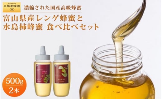 【国産高級蜂蜜】富山県産レンゲ蜂蜜×1本 水島柿蜂蜜500g×1本 セット富山県富山市42000鍋セット・総菜・加工食品ジャム・はちみつ