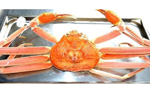 1222 庄内浜産「蒸しズワイガニ」650g山形県遊佐町34000魚介・海産物カニ