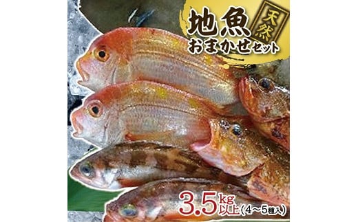 518 地魚おまかせセット 4〜5種類入り計3.5kg以上山形県遊佐町20000魚介・海産物鮮魚