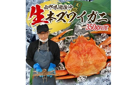 852 遊佐沖 生・本ズワイガニ 1匹 350g程度山形県遊佐町10000魚介・海産物カニ