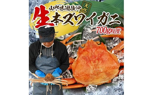 854 遊佐沖 生・本ズワイガニ 1匹 700g程度山形県遊佐町30000魚介・海産物カニ