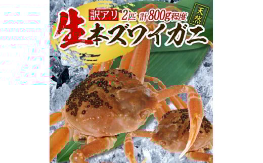 856 訳あり 遊佐沖 生・本ズワイガニ 2匹 計800g程度(1〜2本足折れ)山形県遊佐町20000魚介・海産物カニ