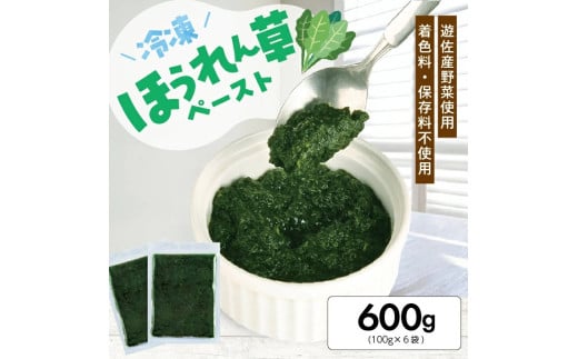 1181HO600G@Ⓚق񑐃y[Xg600g(100g×6)R`V6000؁Ê̑ 
