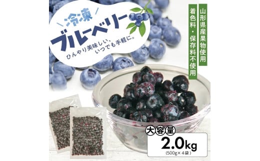 1177BB2000G 冷凍ブルーベリー2.0kg(500g×4袋)山形県遊佐町16000果物・フルーツその他 果物・フルーツ