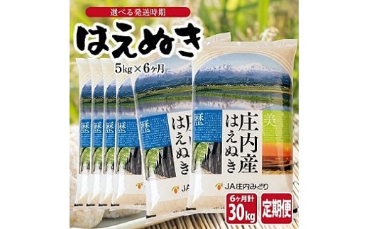 1284T12 【定期便】はえぬき5kg×6ヶ月連続(12月〜5月)山形県遊佐町86000米・パン白米