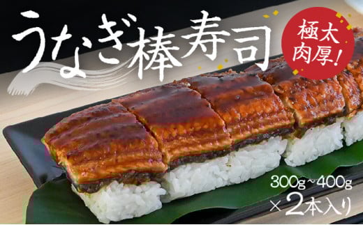 H-134@ɑœIwȂ_ix300g`400g×2{蕺Ɍ̎s10000ECYȂ