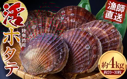 t z^e 4kg yLg ہz z^e ق  z^e lC ق z^e hg CN VN L L kt  X  k ނp p BBQ o[xL