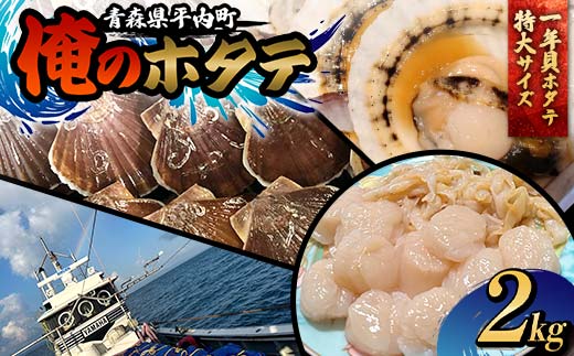 「俺のホタテ」 1年貝ホタテ特大サイズ 2kg ホタテ ほたて 帆立 活ホタテ 貝柱 殻付き 魚介 魚貝 魚貝類 青森 青森県 東北 平内 むつ湾 F21J-243青森県平内町14000魚介・海産物貝類