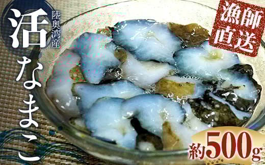 Ȃ܂ 500g (3`5{) H yہz t Ȃ܂ i}R Cl  X  k p ނp F21J-241X13000ECY̑ ECY