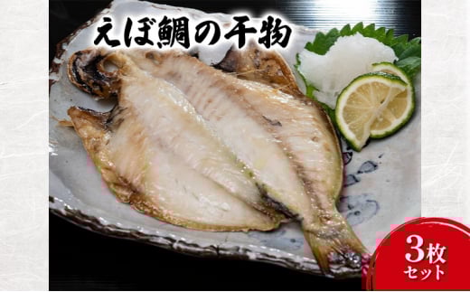  ڑ̊3Zbg ڑ Ђ | ς Zbg Ɛ V C̍K ܂    HiE [5338-0078]s14000ECY