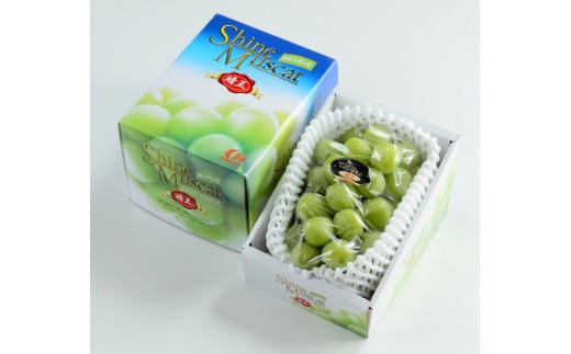 シャインマスカット晴王 約600g×1房 【2025年8月下旬〜11月下旬迄発送】 岡山 種無し 種なし マスカット 果物 くだもの フルーツ ぶどう ブドウ 葡萄 冷蔵岡山県奈義町16500果物・フルーツマス