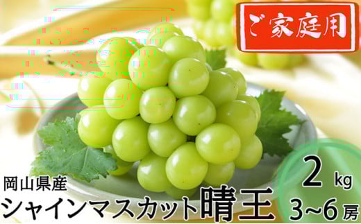ƒp VC}XJbg  3`6[ v2kg y2025N8{`11{z R 햳 Ȃ }XJbg ʕ  t[c Ԃǂ uhE  ①Rދ`22000ʕE