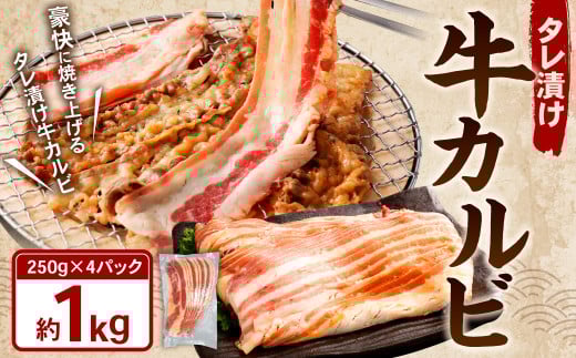 タレ漬け 牛カルビ 1.0kg (250g×4パック) 牛肉 牛 お肉 肉 たれ タレ カルビ 焼き肉 焼肉 小分け 冷凍岡山県奈義町11000肉牛肉