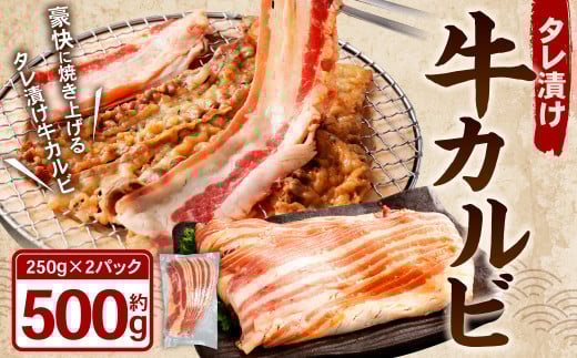 タレ漬け 牛カルビ 250g×2パック (計500g) 牛肉 牛 お肉 肉 たれ タレ カルビ 焼き肉 焼肉 小分け 冷凍岡山県奈義町7000肉牛肉