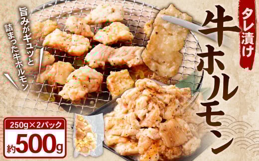 タレ漬け 牛ホルモン 250g×2パック (計500g) 牛肉 牛 お肉 肉 たれ タレ ホルモン 焼き肉 焼肉 小分け 冷凍岡山県奈義町7000肉牛肉