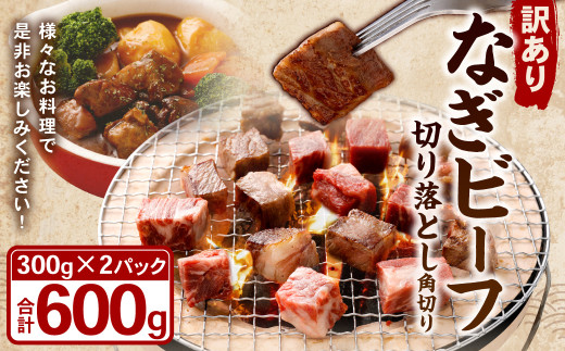 y󂠂zȂr[t F p؂ ؂藎Ƃ 300g ×2pbN iv600gj ֗`bNt ʌ ދ`Y Ya јa јa a    R ދ` ⓀRދ`