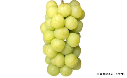 Ԃǂ 2026N s\ ˃WCAc 3[ v2kgȏ uhE   RY Y t[c ʕ Mtg ͖{_ y2026N9{`9{\zRދ`35000ʕEt[c}