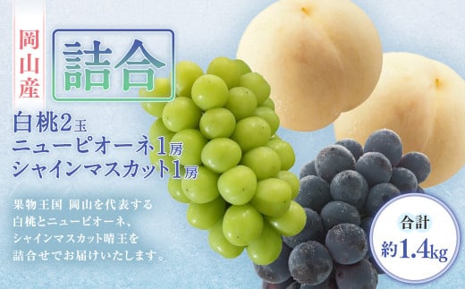 詰合/ 白桃 2玉(1玉220g以上)・ ニューピオーネ 1房(480g以上)・ シャインマスカット 1房( 晴王 ・480g以上) 合計約1.2kg以上 化粧箱入り 【2026年7月下旬〜8月上旬迄発送予定】 桃 もも 葡
