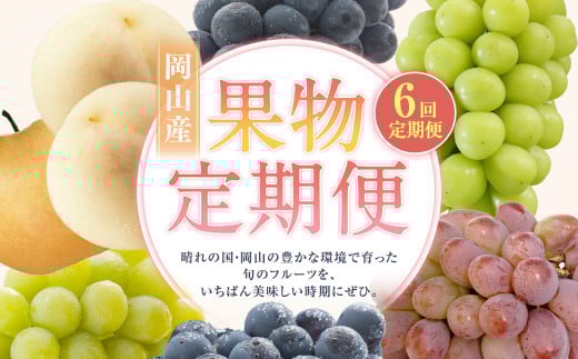 y6ցz  }XJbgIuALThA  YԂǂ j[sI[l    y2026N7{菇Jnz    uhE Ԃǂ Ȃ t[c ʕ