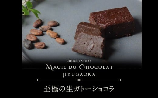チョコレート専門店「MAGIE DU CHOCOLAT」至極の生ガトーショコラ【スイーツ チョコレート チョコレート菓子 焼き菓子 ガトーショコラ 生ガトーショコラ 濃厚 とろける 人気 おすすめ ギフト