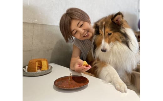 無為自然 一期一会・M(飼い主と愛犬がシェアして食べる米粉シフォンケーキ、ブルーベリーパウンドケーキ(注)&スペシャルティコーヒー「焙煎豆(中挽き)」セット)【世田谷みや