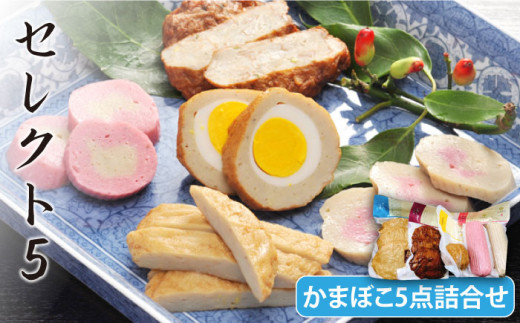 ZNg5 ܂ڂ 5l ܓs/܂ [PAY006] SDGs J}{R g  Zbg茧ܓs13000ECY̑ ECY