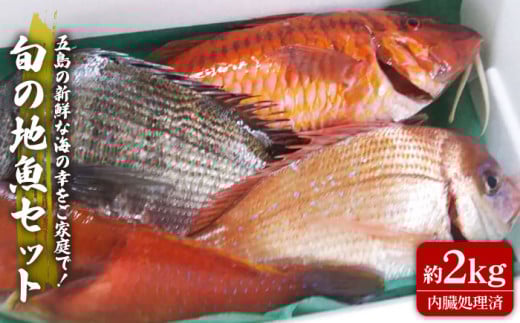 {̒nZbg2kgiER/G/ρj ܓs/ܓFF[PBJ009]茧ܓs14000ECYN