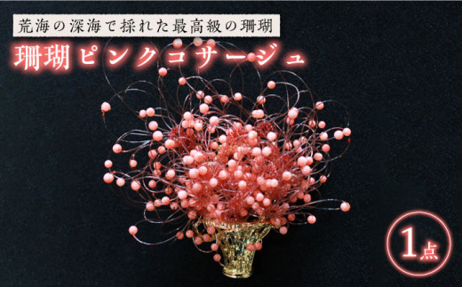 XsNRT[W ܓs / o [PBK002] TS ANZT[  v[g 蕨茧ܓs168000ߗށEiEH|iANZT[